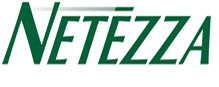 netezza logo